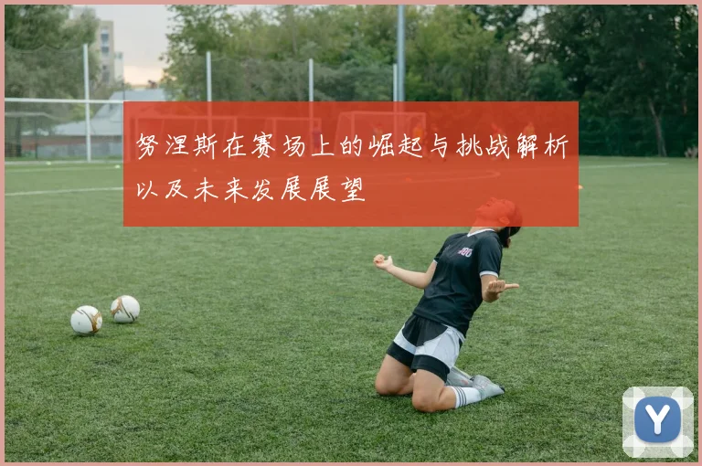 努涅斯在赛场上的崛起与挑战解析以及未来发展展望