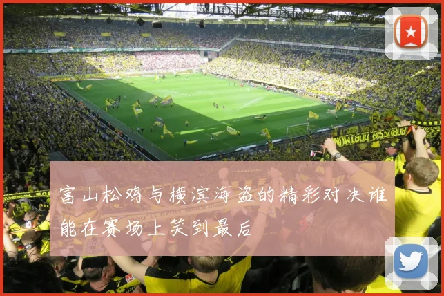 富山松鸡与横滨海盗的精彩对决谁能在赛场上笑到最后